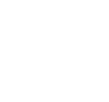 Vulpian Consultants